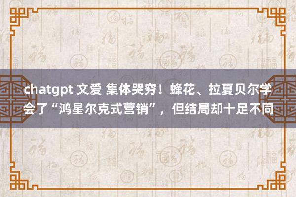 chatgpt 文爱 集体哭穷！蜂花、拉夏贝尔学会了“鸿星尔克式营销”，但结局却十足不同