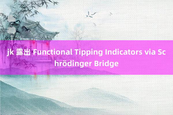 jk 露出 Functional Tipping Indicators via Schrödinger Bridge