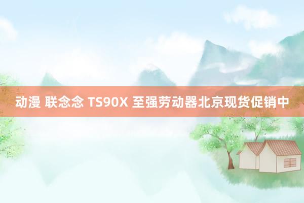 动漫 联念念 TS90X 至强劳动器北京现货促销中